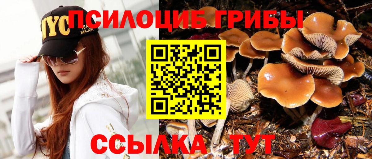 Галлюциногенные грибы прущие грибы Грозный