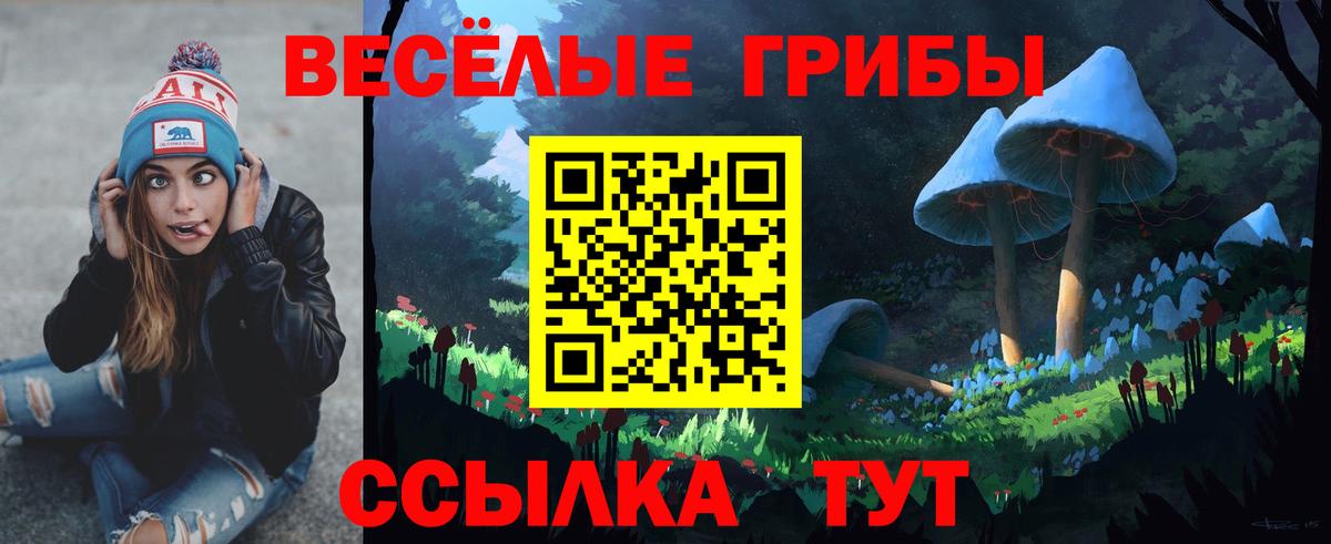 где найти наркотики  Грозный  Псилоцибиновые грибы мухоморы  Галлюциногенные грибы MAGIC MUSHROOMS 